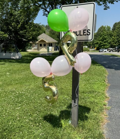 balloons at a campground birthday party