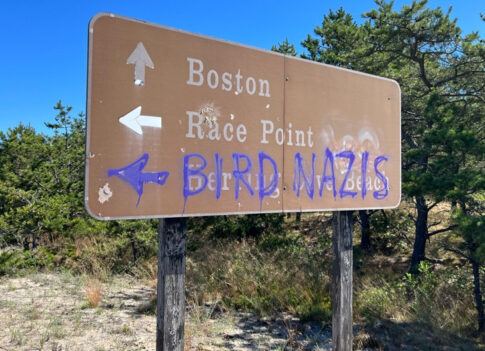 National Park vandalism