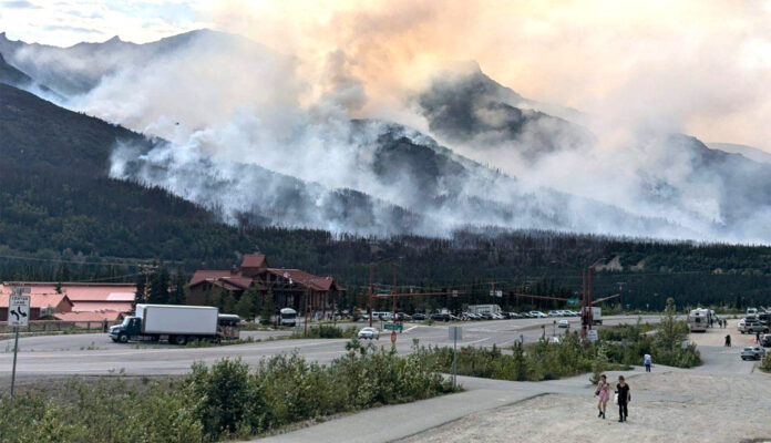 Denali National Park reopens