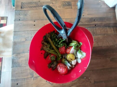 Grilled salsa veggies prior to chopping with the Toss and Chop gadget