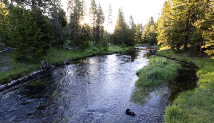 Yellowstone National Park stream