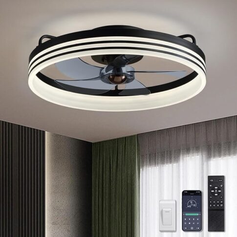 Ludomide ceiling fan Photo: Amazon