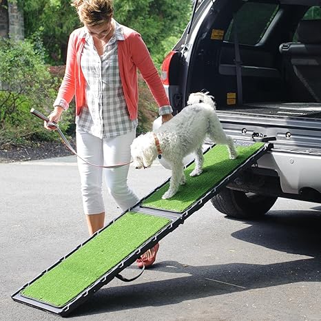 dog ramp Photo: Amazon