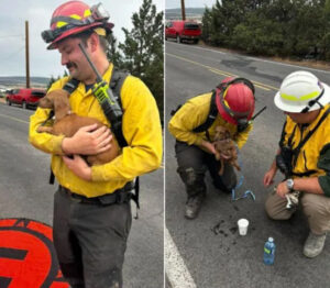 RVers lost their home to wildfire