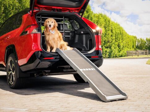 Dog ramp Photo: Weather tech