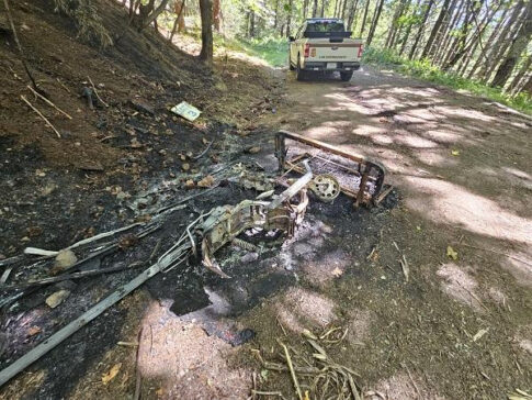 BLM nabs an arsonist
