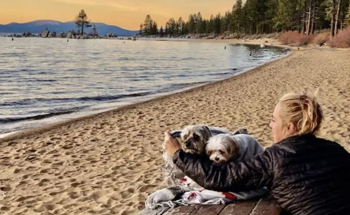 dog-friendly campgrounds