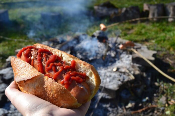 a hot dog over a campfire