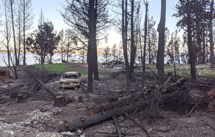 Wildfire damage in Montana