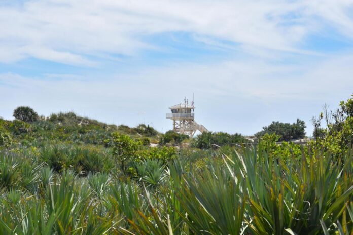 FL state parks photo: Pexels