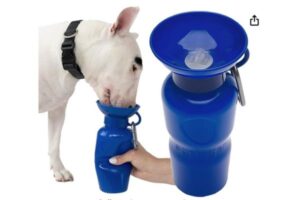 Spring portable water dispenser