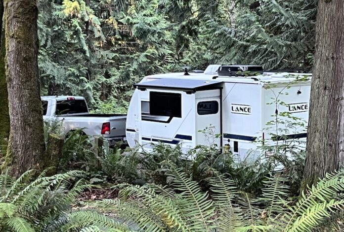RV camping in forest