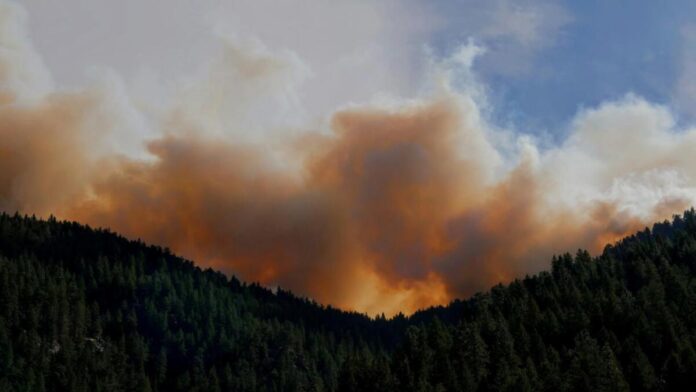 Alexander Mountain Fire