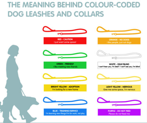 Color code for dogs explained Photo: Pets Plus