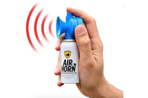 Air horn for security