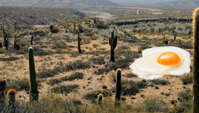 Arizona is snowbird hell