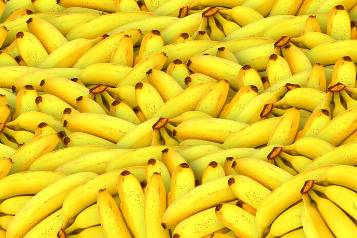 A banana shortage is coming!