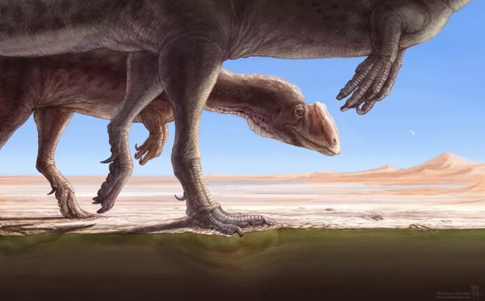 Dinosaurs