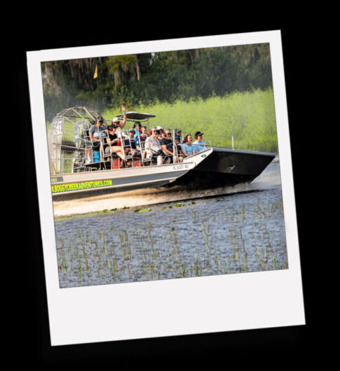 Chase alligators and glamp