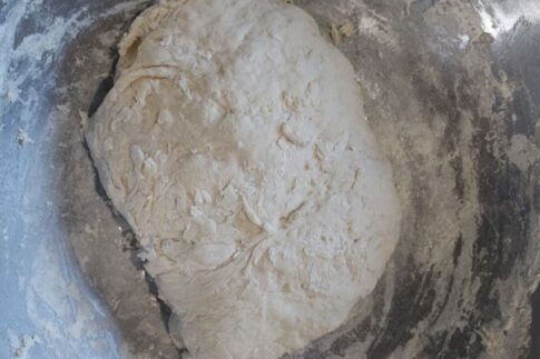 Cheri's Neapolitan pizza dough, right after mixing