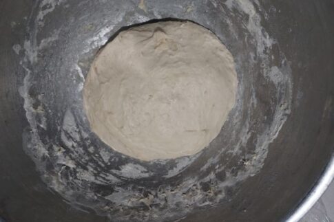 Cheri's Neapolitan pizza dough after 24 hours