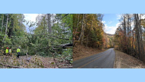 Blue Ridge Parkway restoration