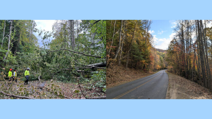 Blue Ridge Parkway restoration