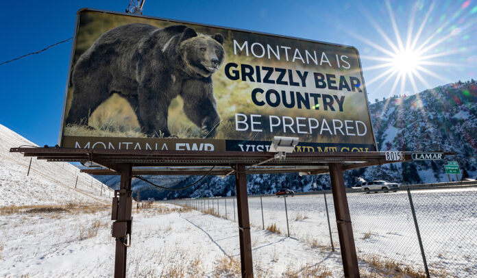 Grizzly Bear billboard
