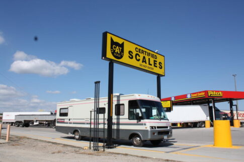 Cat Scale