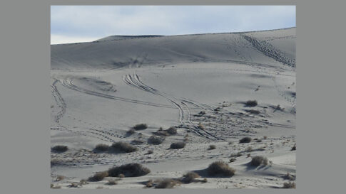 National park vandalism