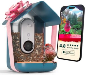 Bird Buddy feeder/camera Amazon.com image