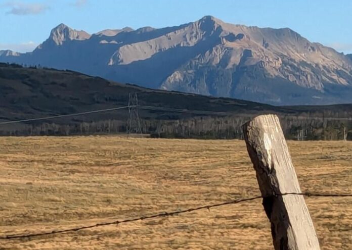 barbed wire fence with mountains in the background Gail Marsh photo