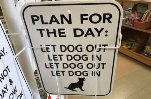 funny dog sign