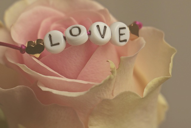 LOVE and pink rose for Valentine's Day Pixabay image