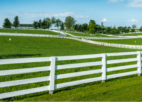 KY four-board fence lexhorsefarms.com image