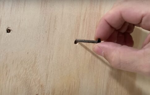 RV screw in stripped hole in wall