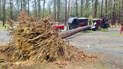 tree splits fifth wheel