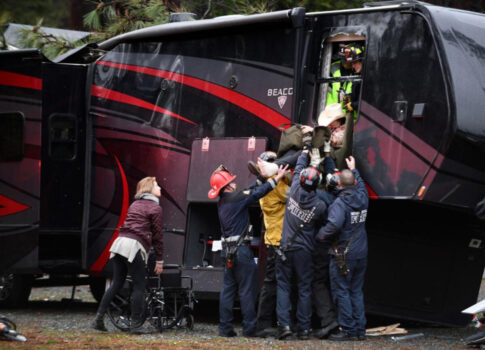 tree splits fifth wheel