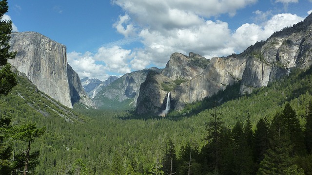 Yosemite opens campgrounds and Tioga Pass for summer