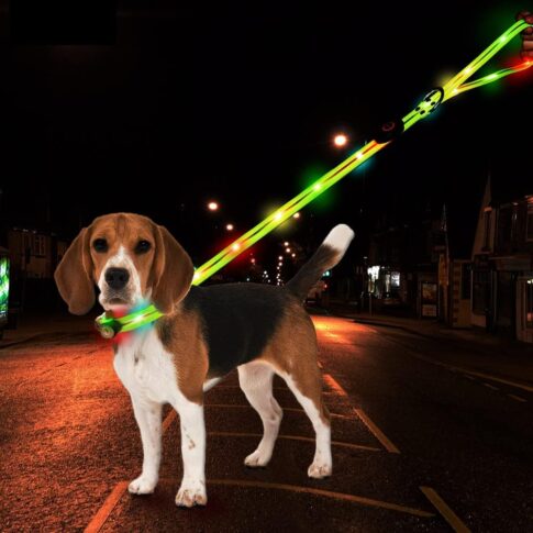 beagle with lighted collar and leash Amazon image