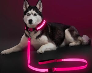 Bright pink lighted dog leash and collar Amazon image