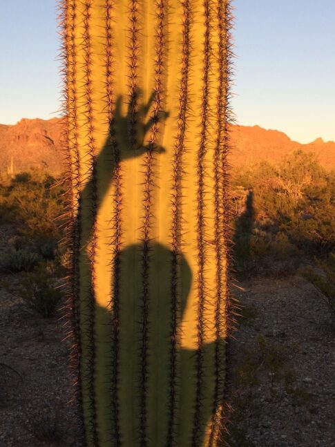 Chuck posing with a cactus