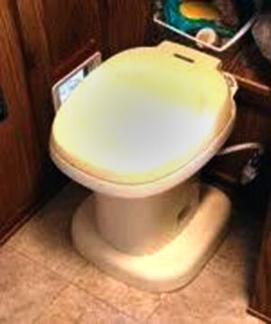 RV toilet riser