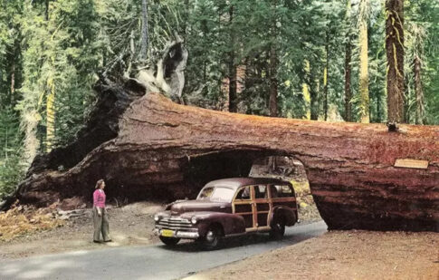 National park cuts
