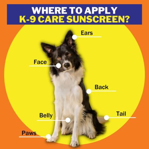 Sunscreen for dogs Amazon image