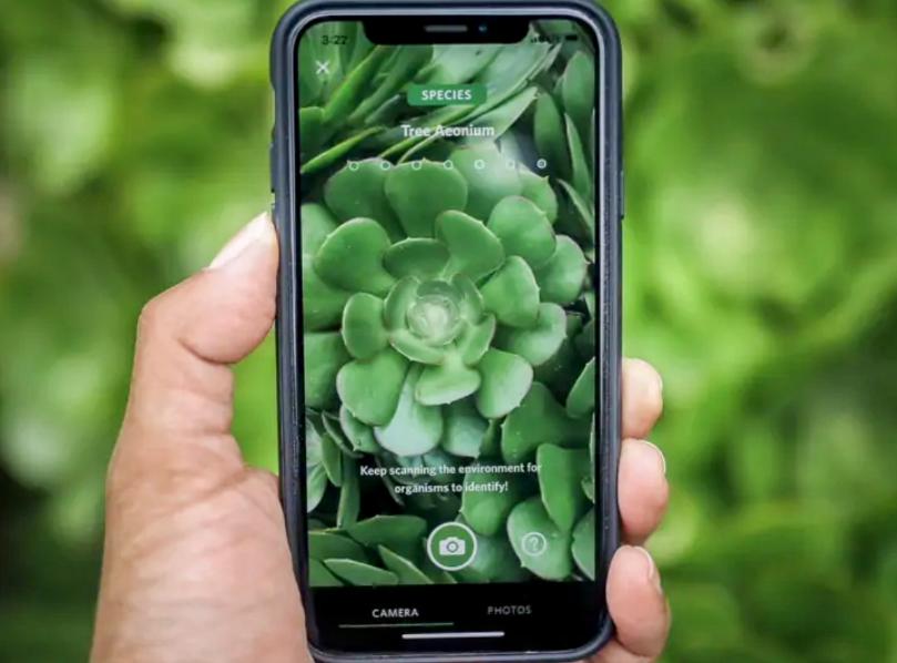 An RVer’s guide to using the Seek app by iNaturalist