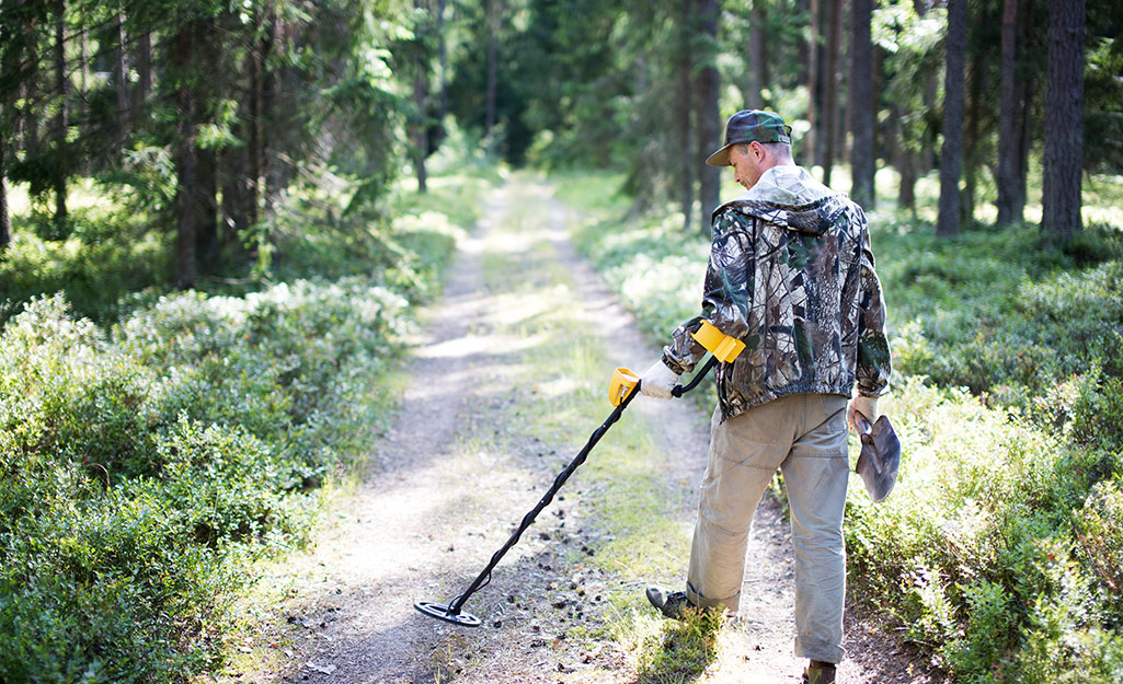 Searching for fun? This hobby could be for you