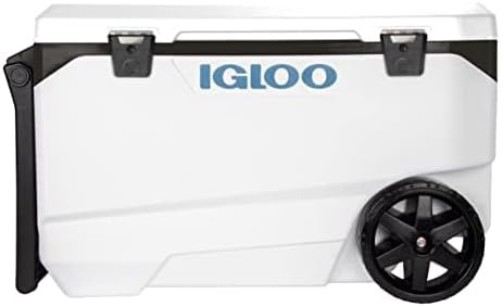 More than one million Igloo coolers recalled due to finger amputations