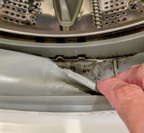 Mold from using too much laundry detergent in campground washer Image: Gail Marsh (no need for attribution)