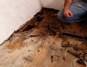 Rotten Floor